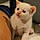Casper