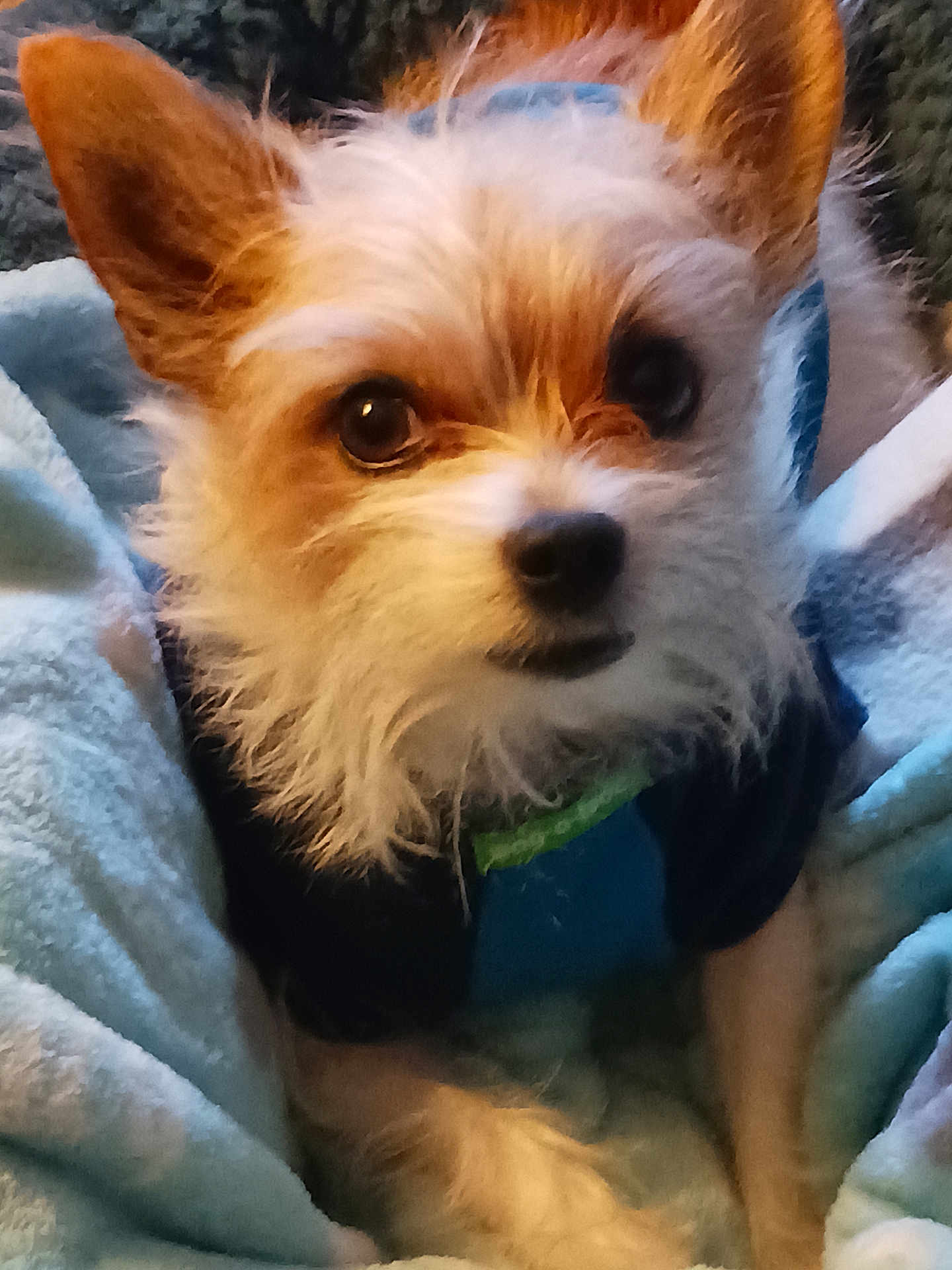 Jax