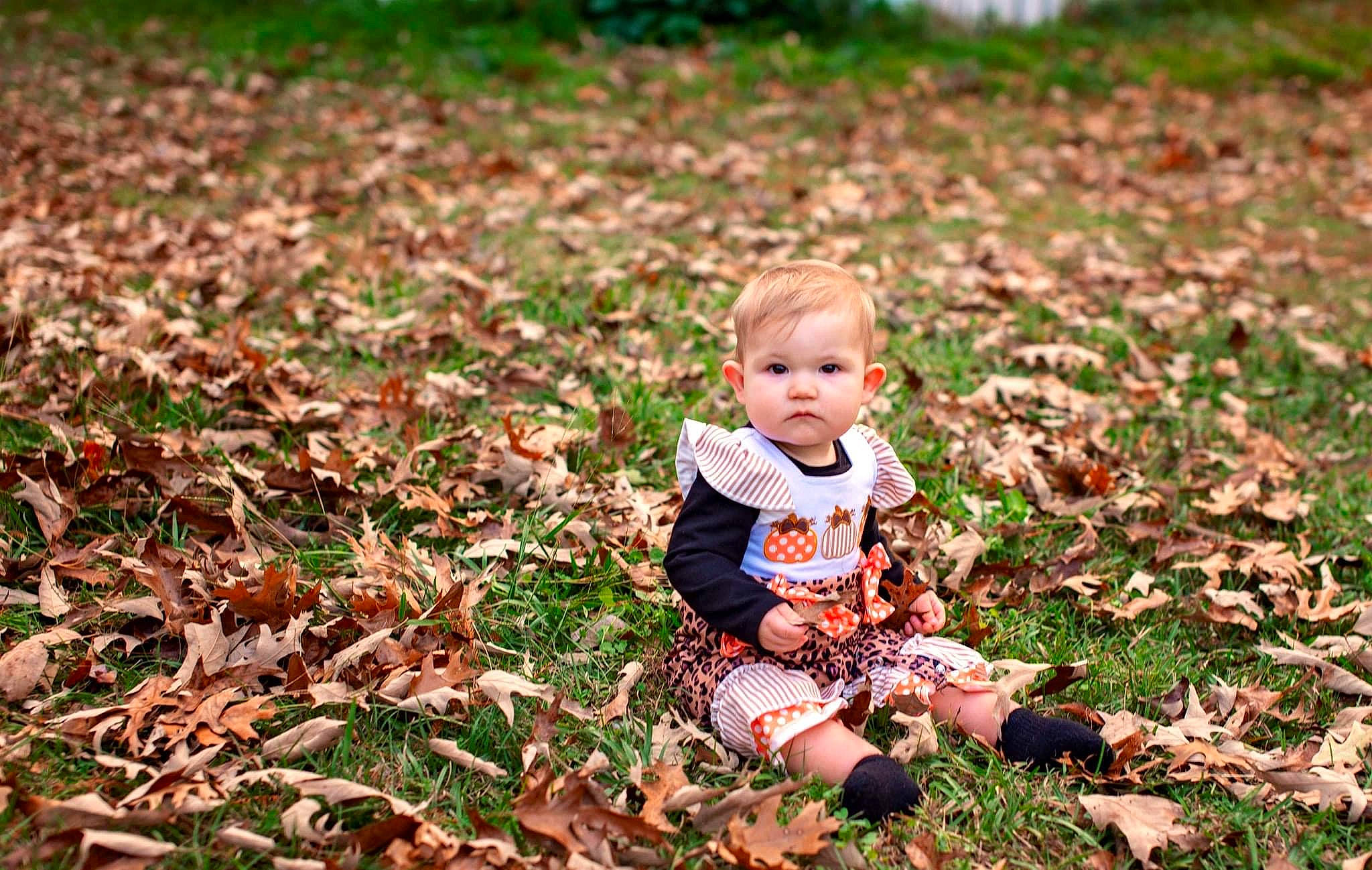Letty is registered to the contest to win money with this photo: autumn, baby, baby_toddler_clothing, cheek, child, child_model, deciduous, figurine, grass, groundcover, human, leaf, people_in_nature, person, portrait_photography, sock, toddler, toy, walking_shoe