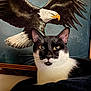 cat, black_and_white, animal, pet, portrait, indoor, painting, eagle, bird, wall_art, feline, whiskers, ears, yellow_eyes, closeup, contrast, sitting, looking, background, decor