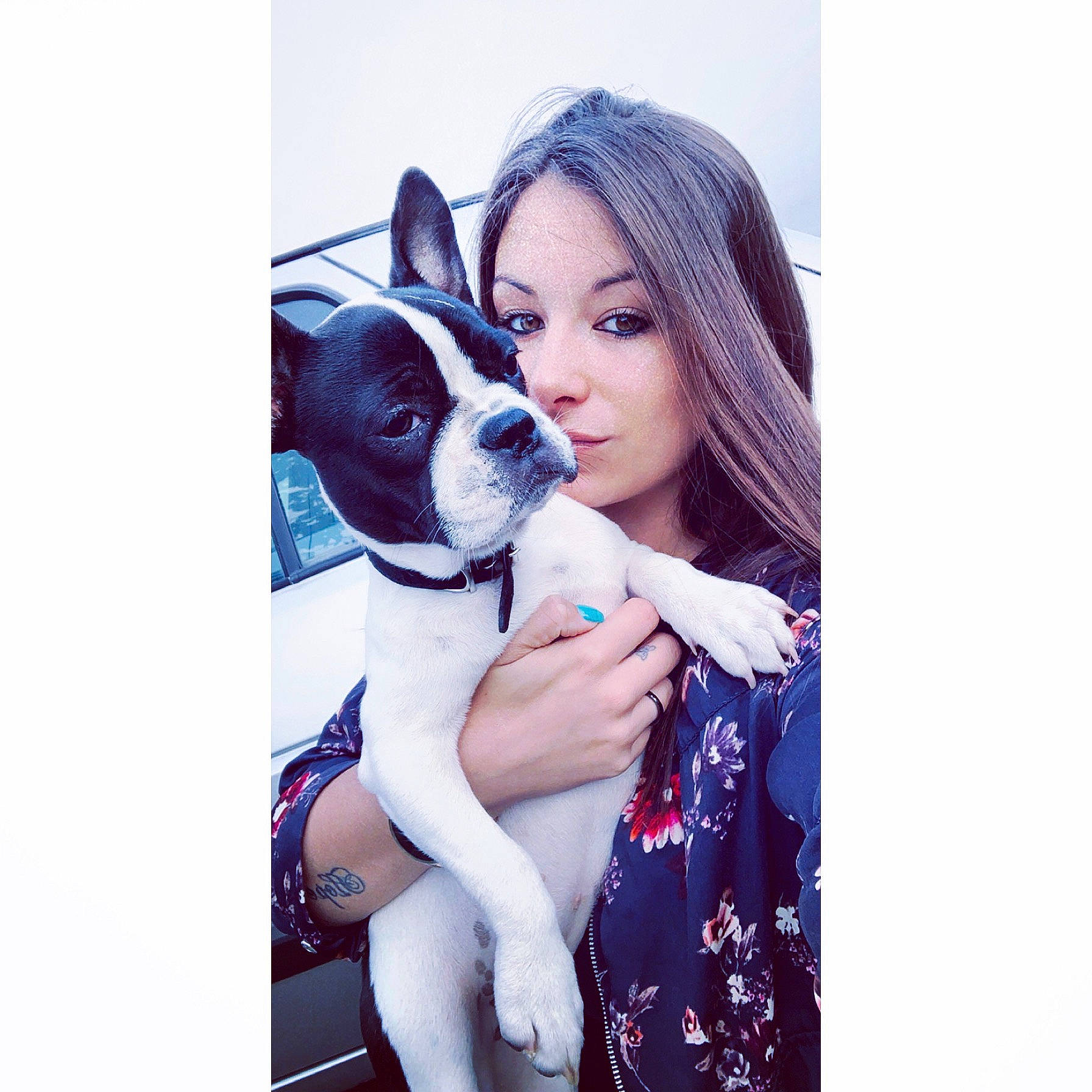 Kayla a rejoint le concours — aidez-le/la à gagner de superbes lots ! black_hair, carnivore, comfort, companion_dog, dog, dog_breed, electric_blue, eyewear, fawn, flash_photography, gesture, hair, happy, long_hair, magenta, pattern, purple, sporting_group, thigh, toy_dog