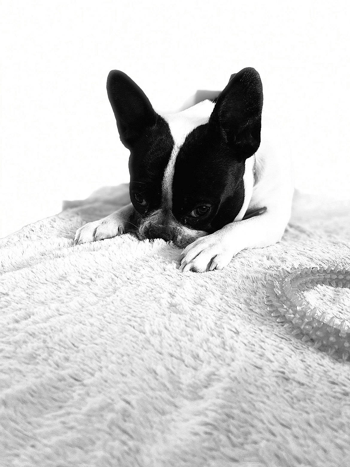 Kayla participe au concours pour gagner de l'argent avec cette photo : arm, beach, black_hair, eye, flash_photography, fun, hand, happy, head, human_body, human_leg, landscape, leg, monochrome, monochrome_photography, recreation, shorts, water, wind_wave, wing