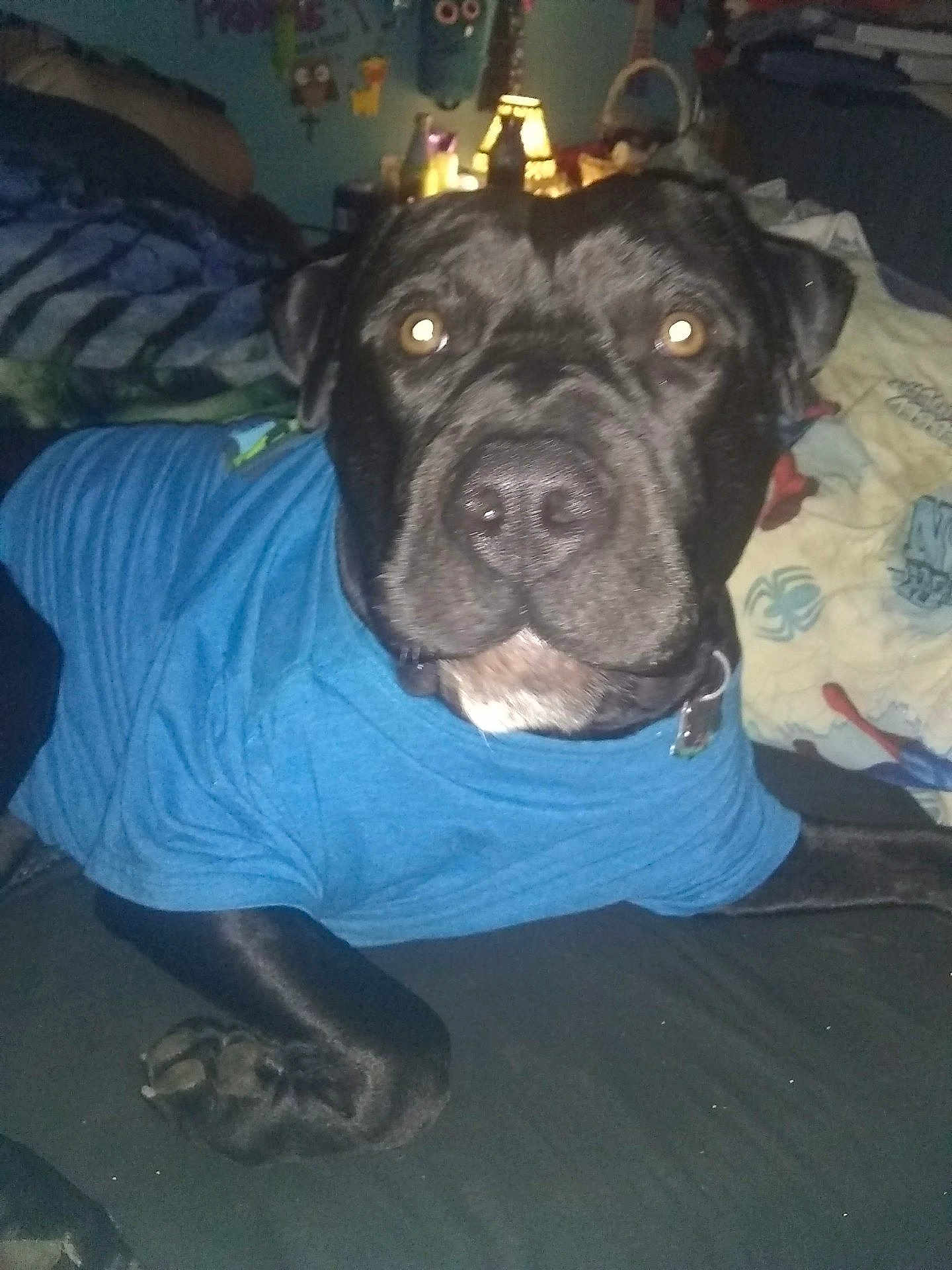 Nene Lindo