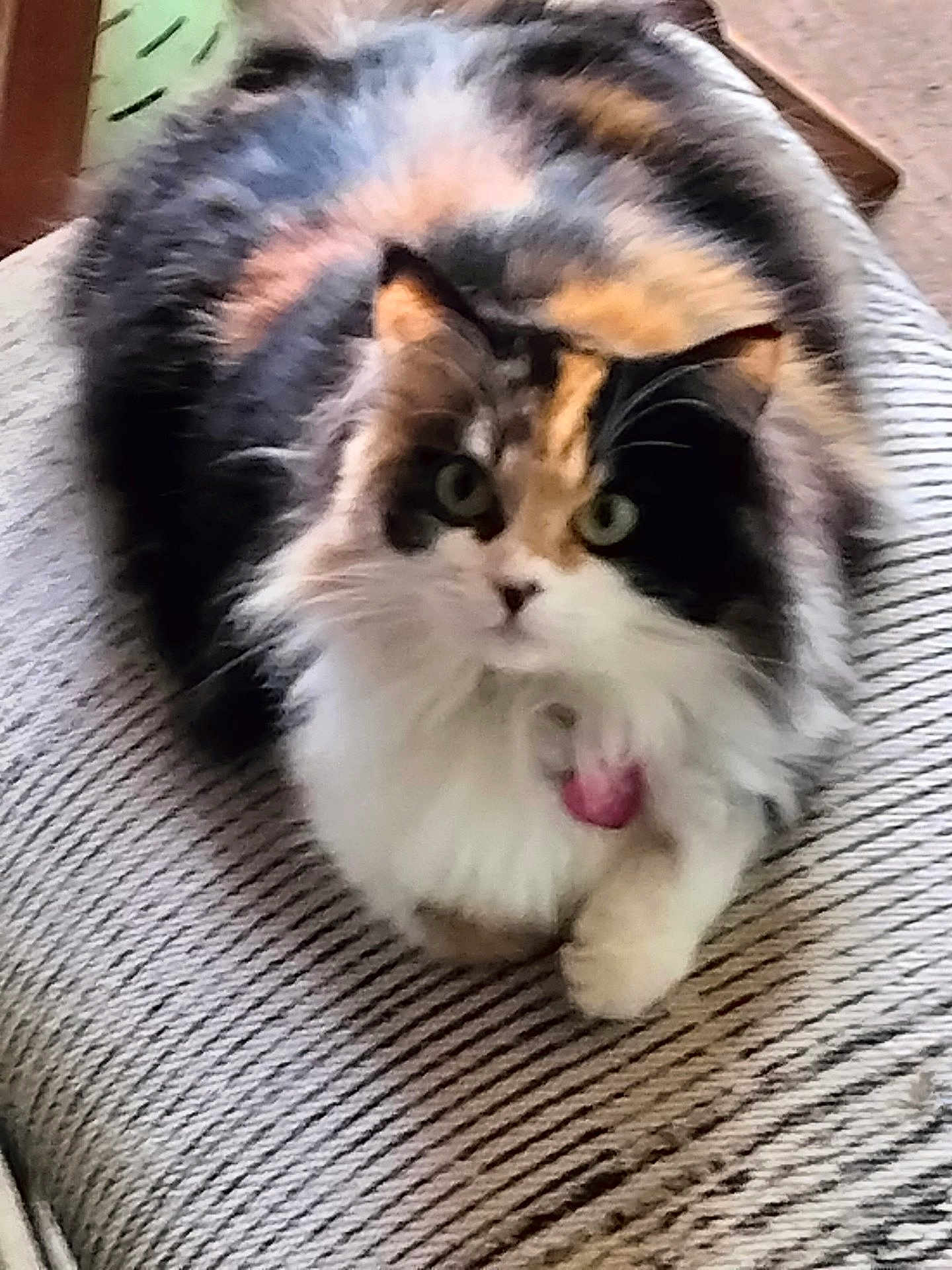 Mavis Aka Little B