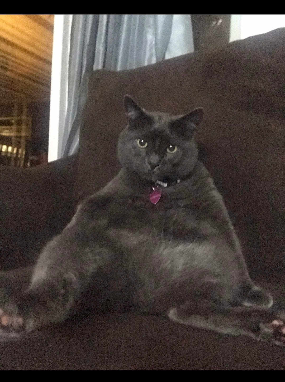 Mango Aka Babe