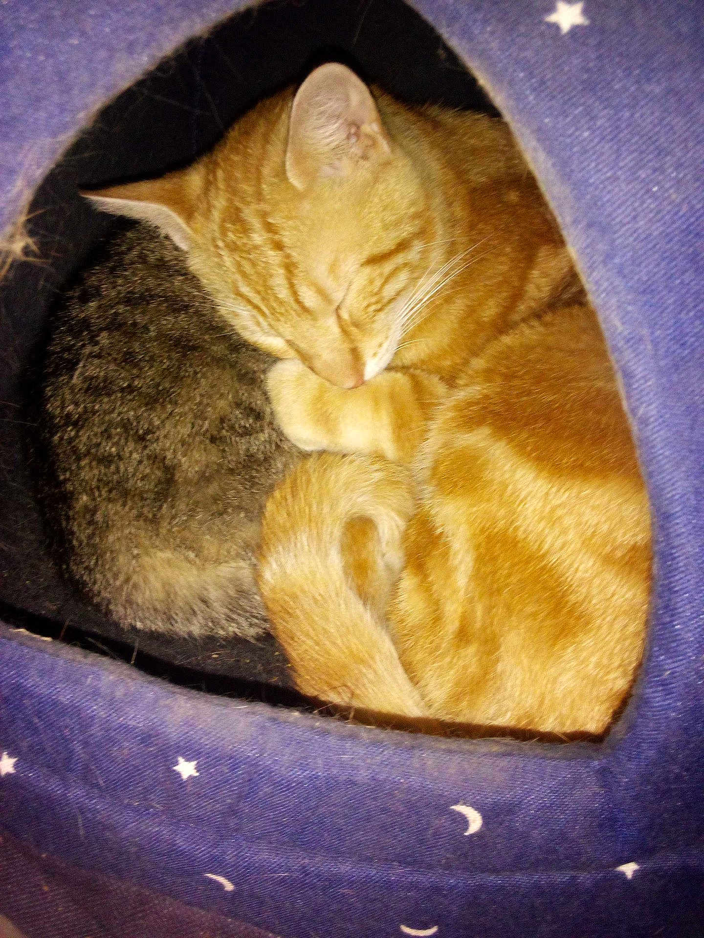 Tigger