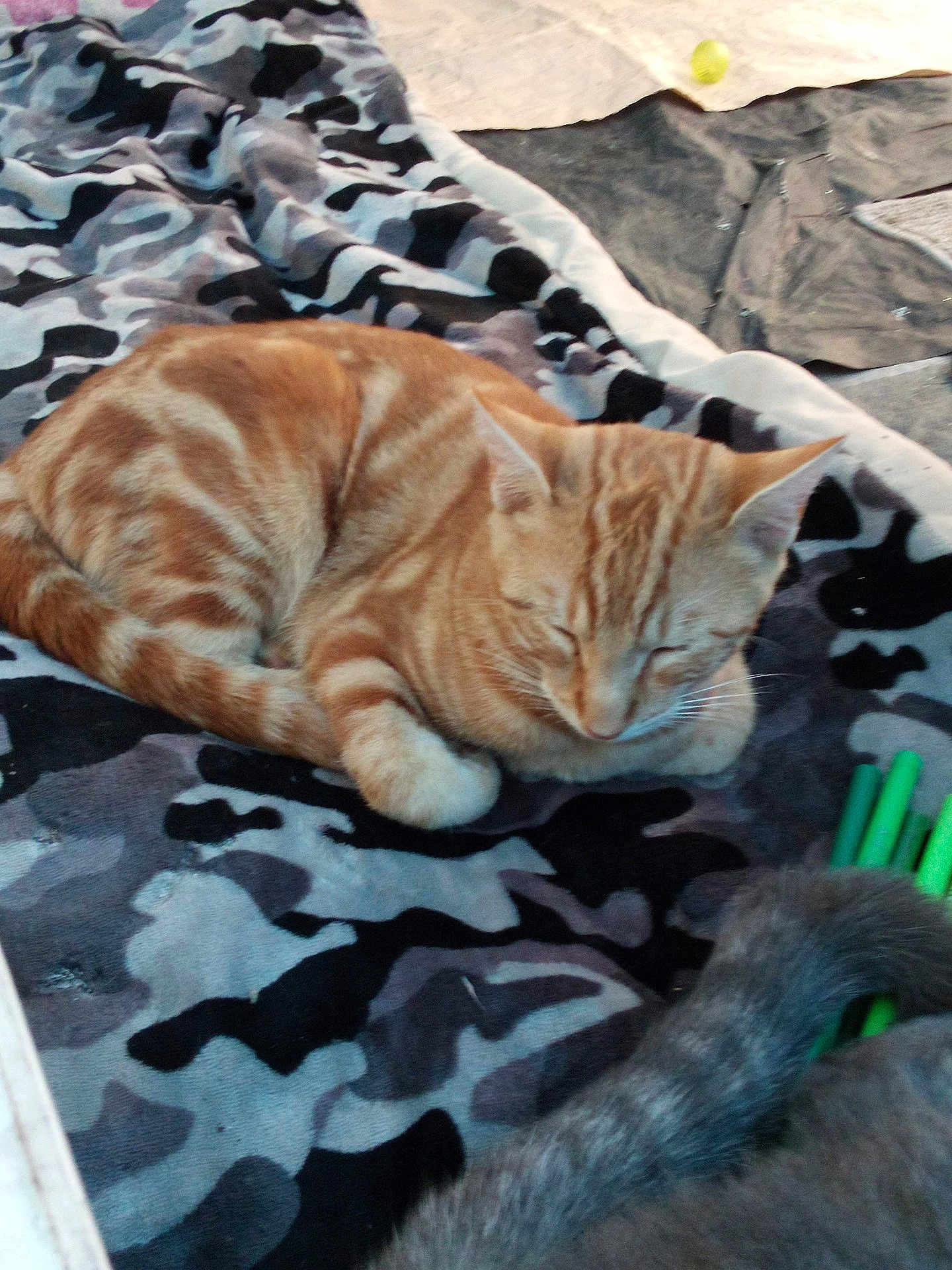 Tigger