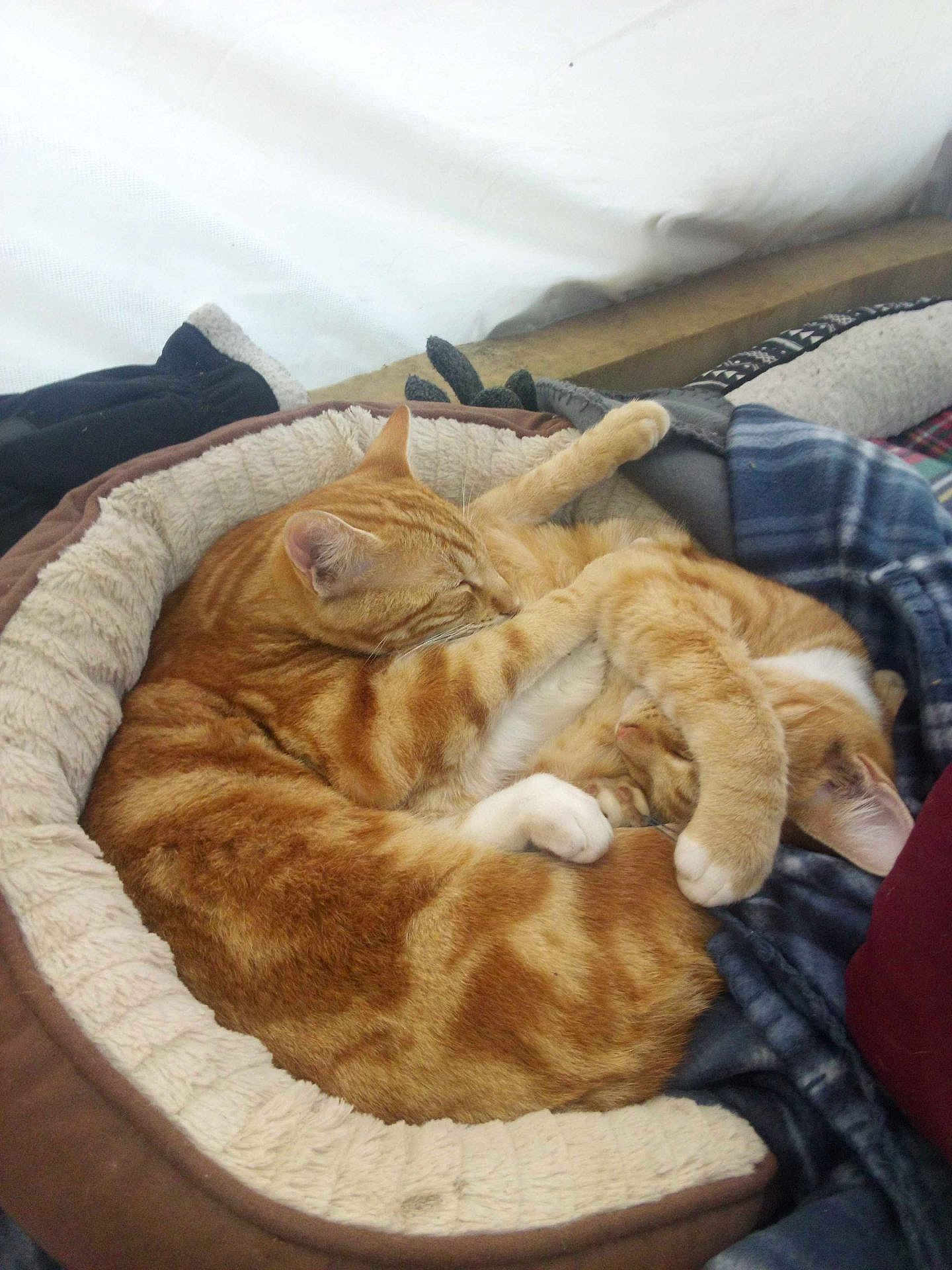 Tigger