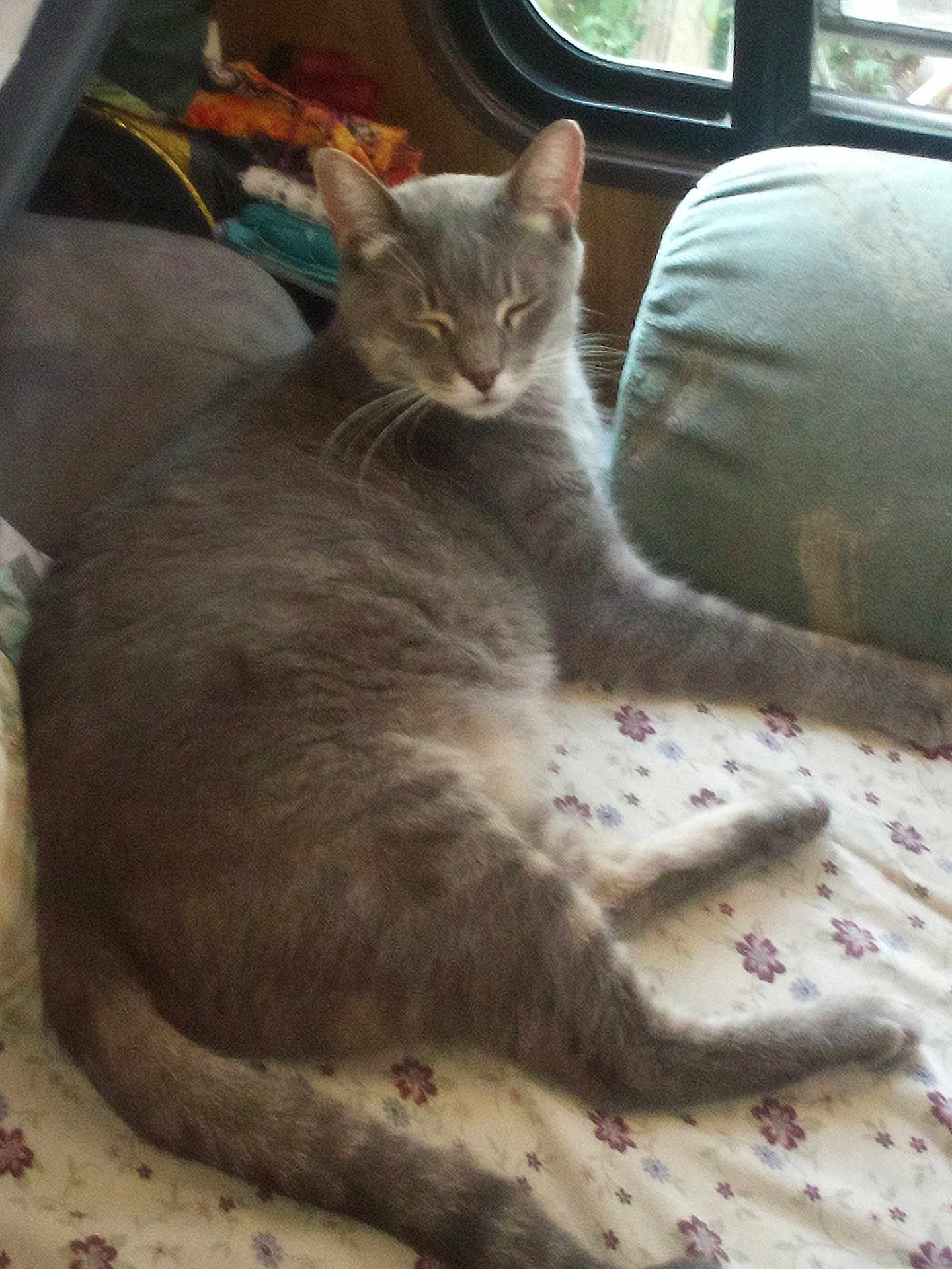 Sammy