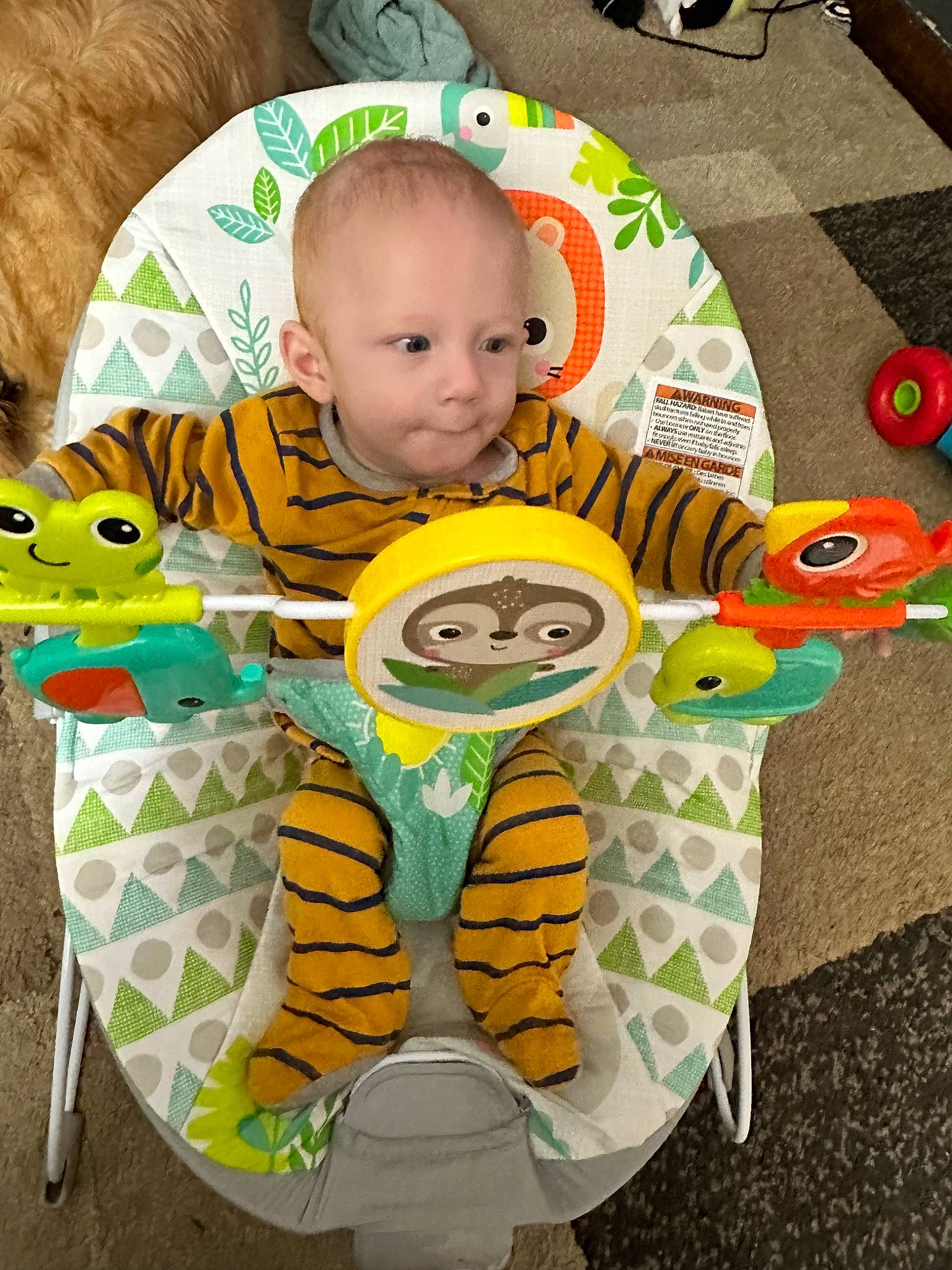Dean is registered to the contest to win money with this photo: baby, baby_products, baby_toddler_clothing, baby_toys, bib, child, face, fun, grass, green, happy, head, orange, person, play, sitting, sleeve, t_shirt, toddler, white