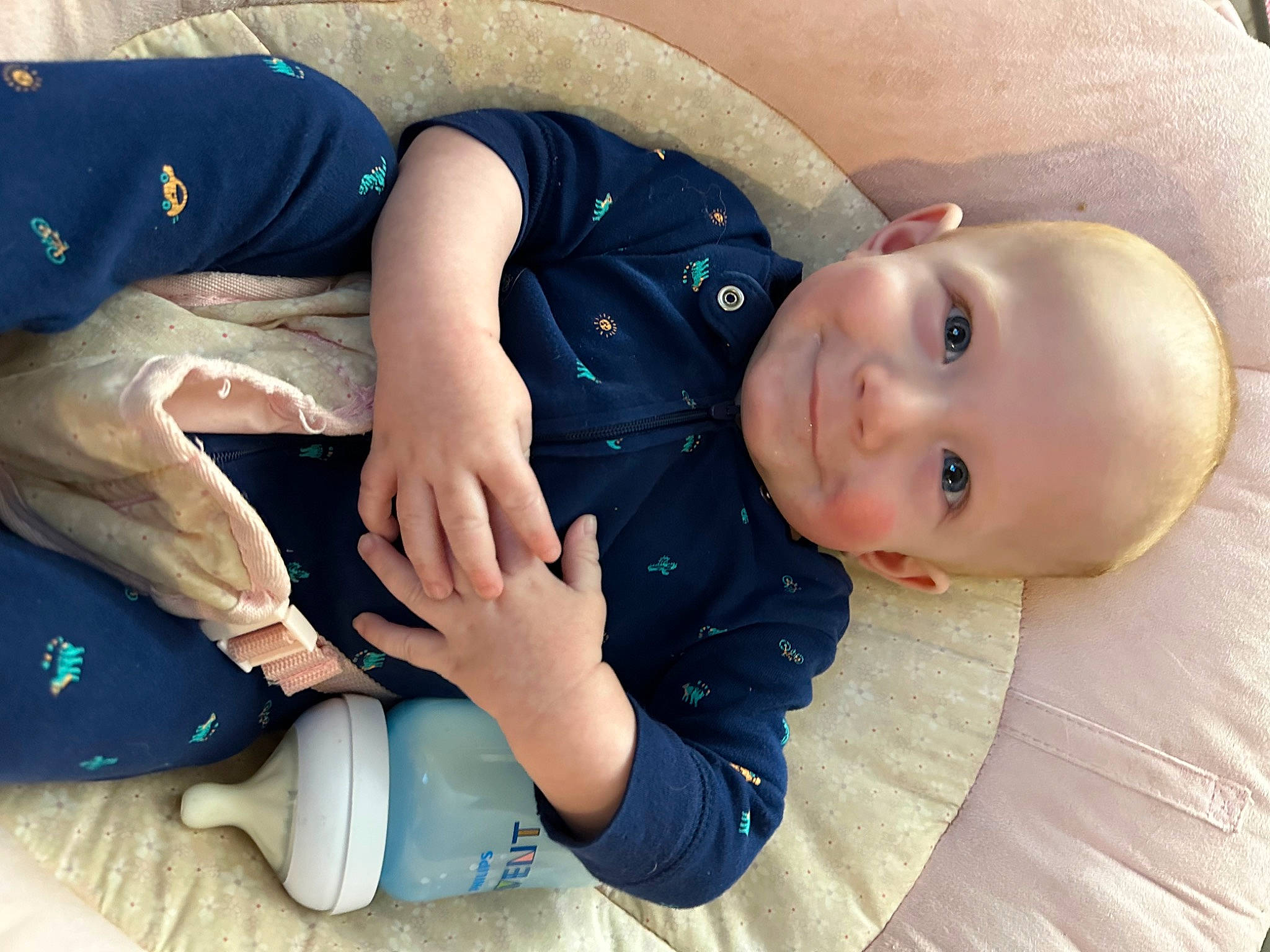 Dean is registered to the contest to win money with this photo: baby, baby_toddler_clothing, child, comfort, eye, finger, fun, gesture, hand, happy, joy, mammal, mouth, person, skin, sleeve, smile, thumb, toddler, tree