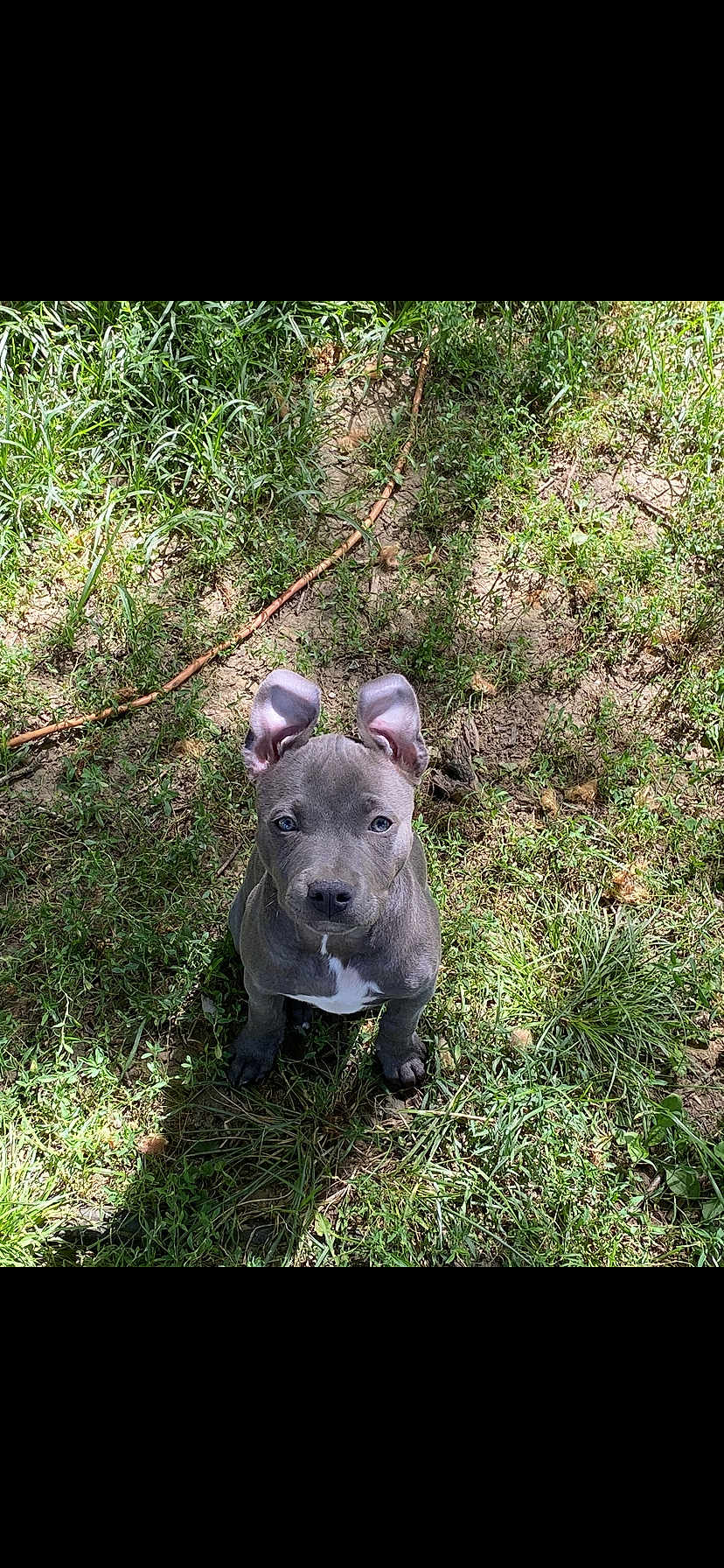 Kilo Blu