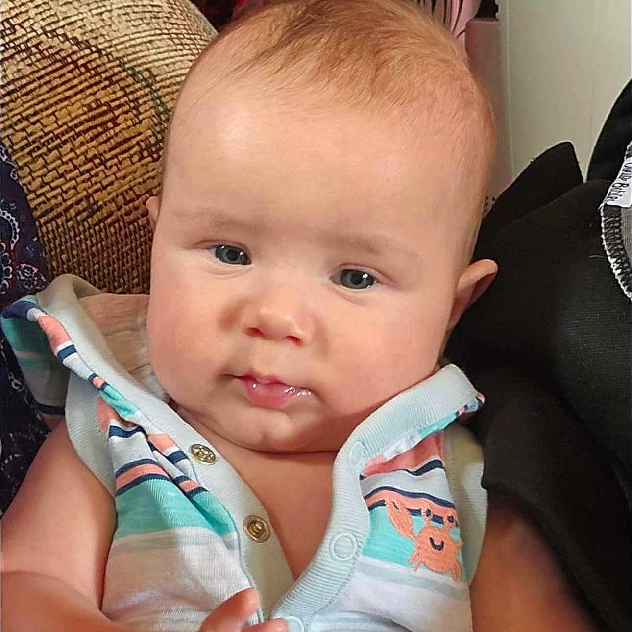 Rex joined the competition — help win amazing prizes! baby, bodypart, clothing, couch, cushion, cutlery, face, finger, furniture, hand, head, homedecor, newborn, pants, person, photography, portrait, sitting, spoon, t_shirt