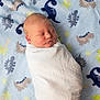 newborn, baby, swaddled, blanket, sleeping, infant, face, child, soft, cozy, dinosaur_pattern, blue, white, peaceful, cute, portrait, indoors, resting, toddler, fabric