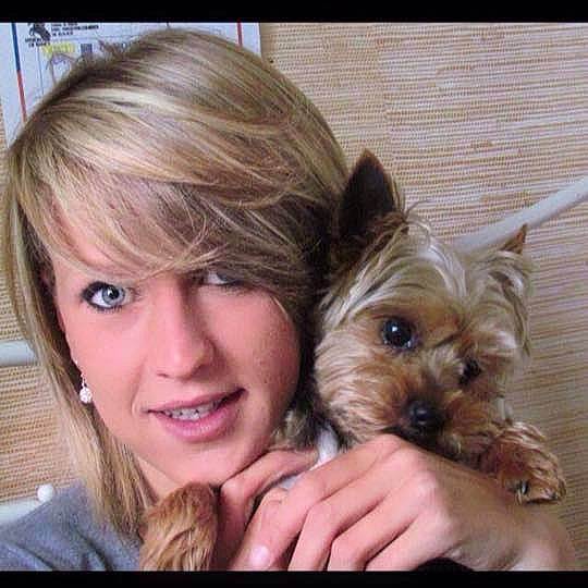 Vidocq participe au concours pour gagner de l'argent avec cette photo : australian_silky_terrier, australian_terrier, carnivoran, dog, dog_breed, dog_breed_group, dog_crossbreeds, dog_like_mammal, ear, joy, mammal, morkie, norwich_terrier, person, puppy, puppy_love, skin, small_terrier, snout, terrier