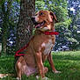 Oscar participe au concours pour gagner de l'argent avec cette photo :