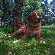 Oscar participe au concours pour gagner de l'argent avec cette photo :