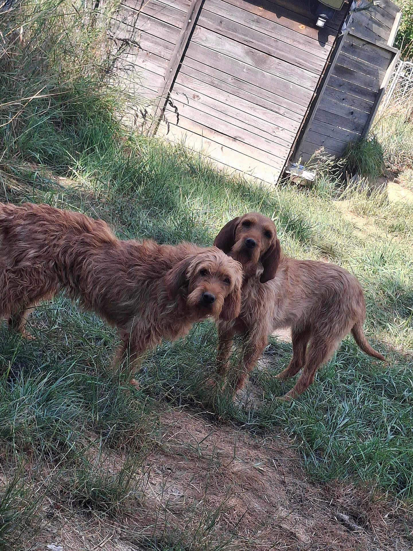 Pirouette Et Polka