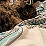 cat, tabby, fur, blanket, patterned_blanket, cozy, indoor, pet, animal, resting, curious_eyes, closeup, whiskers, ears, bedroom, home, feline, soft_texture, relaxed, cute