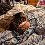cat, tabby_cat, plush_toy, comforter, patterned_bedding, bedroom, yarn, bottle, wooden_drawer, cluttered_room, furniture, pet, animal, cozy, indoor, furry, resting, soft_toy, fabric, blanket