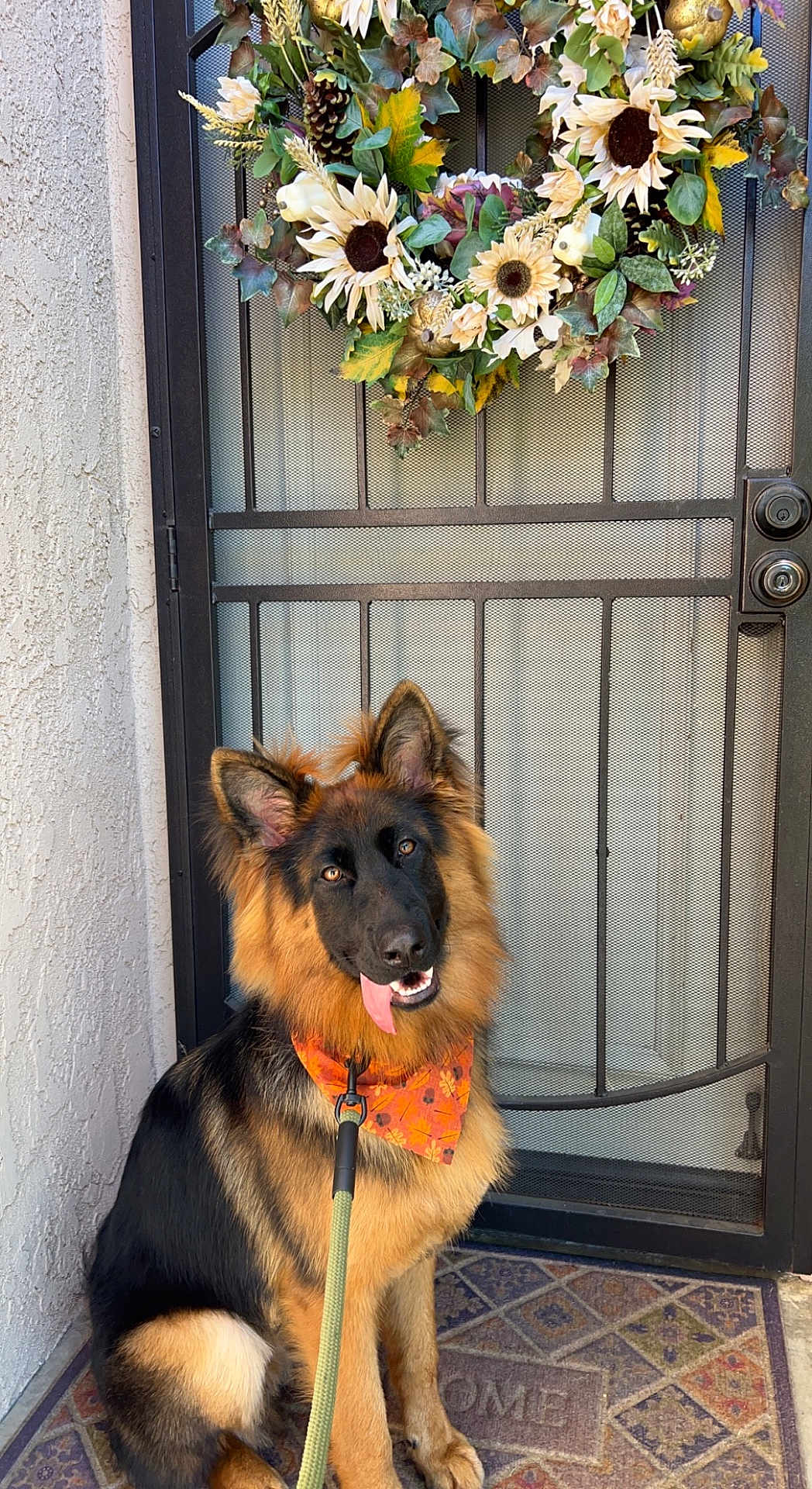 Koda