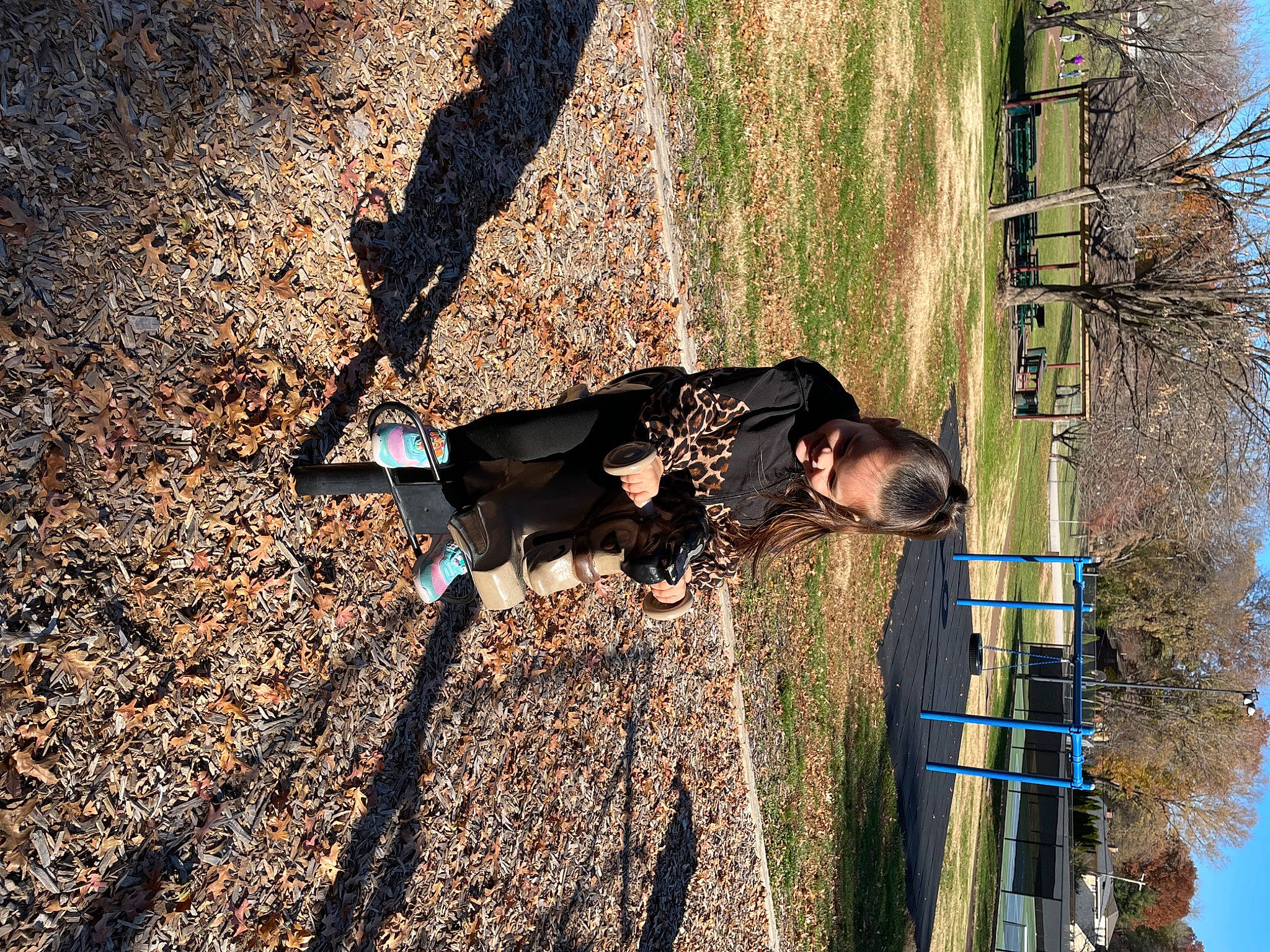 Elaine is registered to the contest to win money with this photo: adventure, autumn, fun, grass, leisure, people_in_nature, person, plant, recreation, shadow, sky, soil, tints_and_shades, tree, trunk, twig, walking, wood