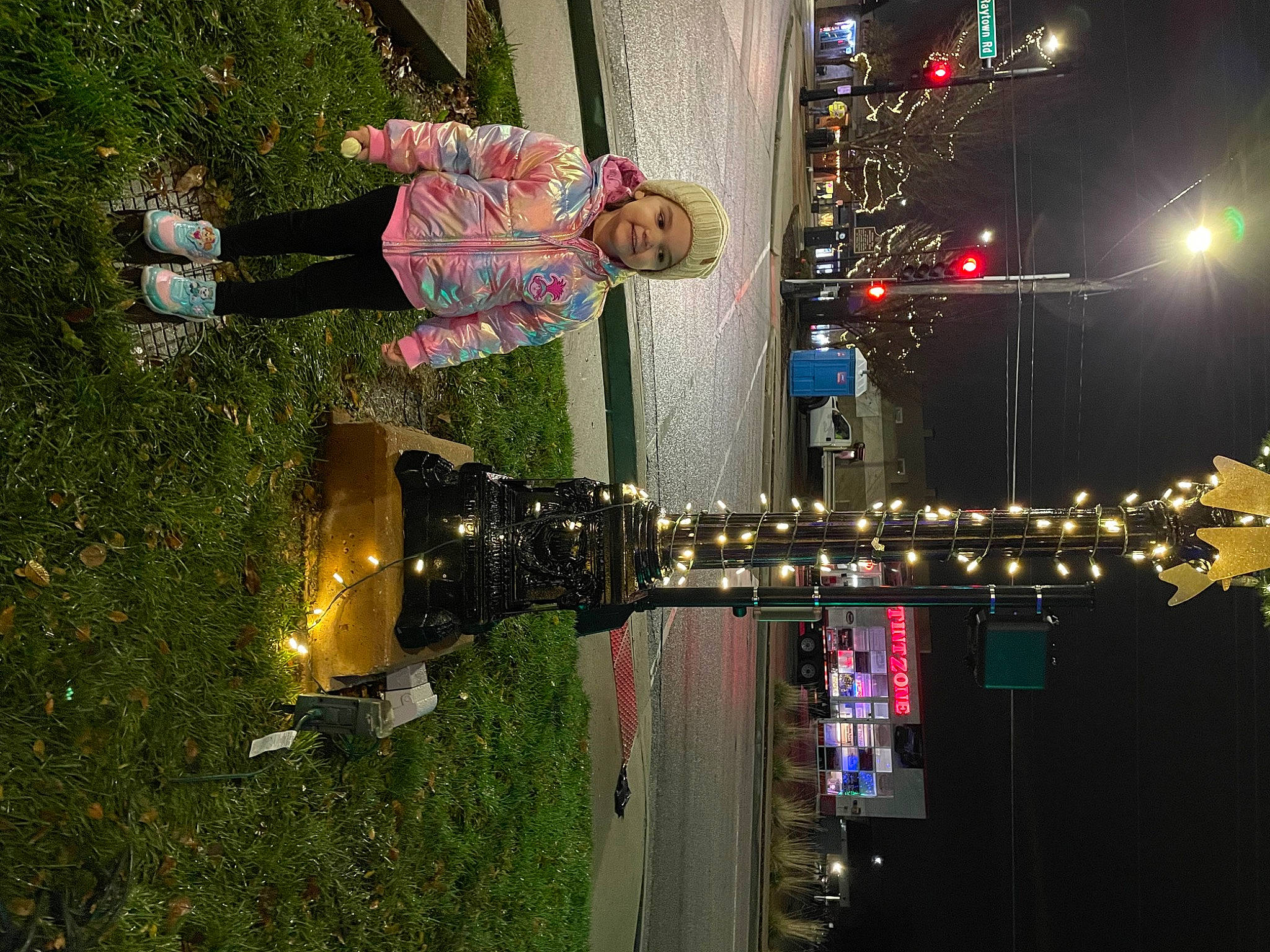 Elaine joined the competition — help win amazing prizes! city, darkness, electricity, event, fun, headwear, holiday, interior_design, joy, light, light_fixture, night, ornament, person, plant, reflection, sky, space, street_light, tree