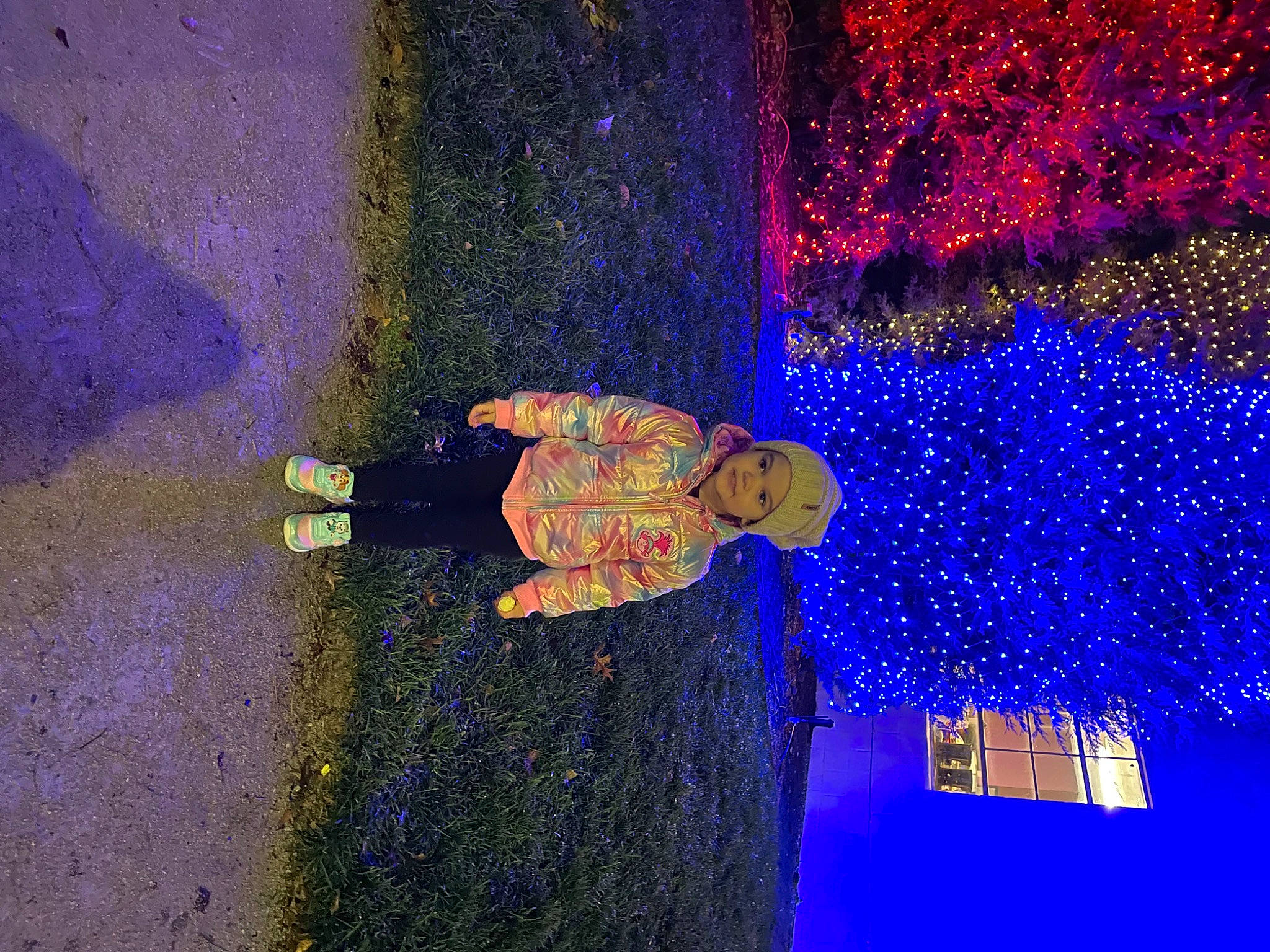 Elaine is registered to the contest to win money with this photo: art, asphalt, christmas_decoration, electric_blue, electricity, event, fun, headwear, holiday, night, ornament, paint, person, purple, road_surface, shadow, space, tints_and_shades, tree, visual_arts