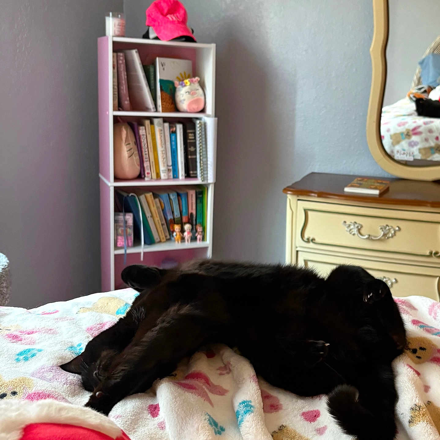 Gypsy joined the competition — help win amazing prizes! bed, bedroom, black_cat, blanket, bookcase, books, cat, colorful, cozy, dresser, furniture, indoor, mirror, pink_cap, shelf, sleeping_cat, stuffed_toy, toy_figures, wall, window_light