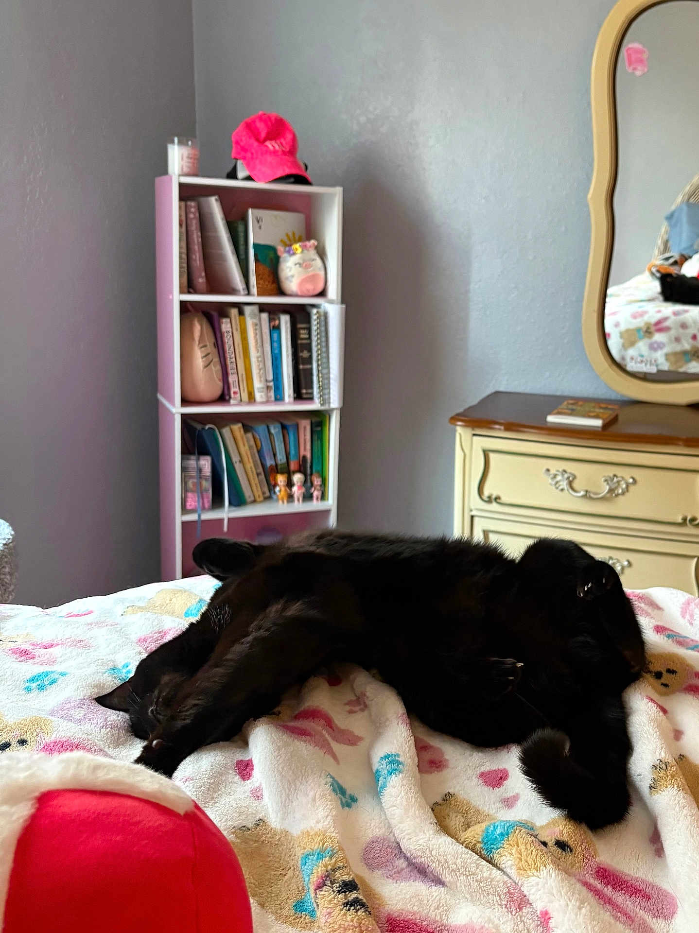 Gypsy joined the competition — help win amazing prizes! black_cat, bedroom, blanket, bookcase, books, cat, cozy, dresser, furniture, mirror, pink_cap, shelf, sleeping_cat, stuffed_toy, toy_figures, wall, window_light, indoor, bed, colorful