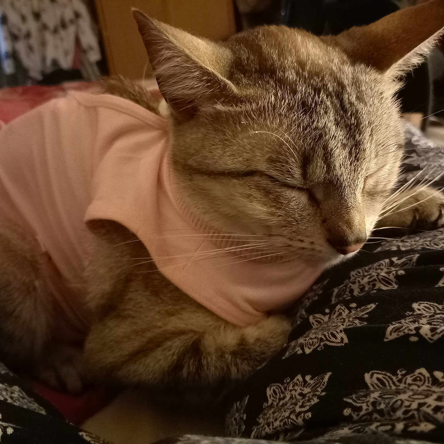Ulla