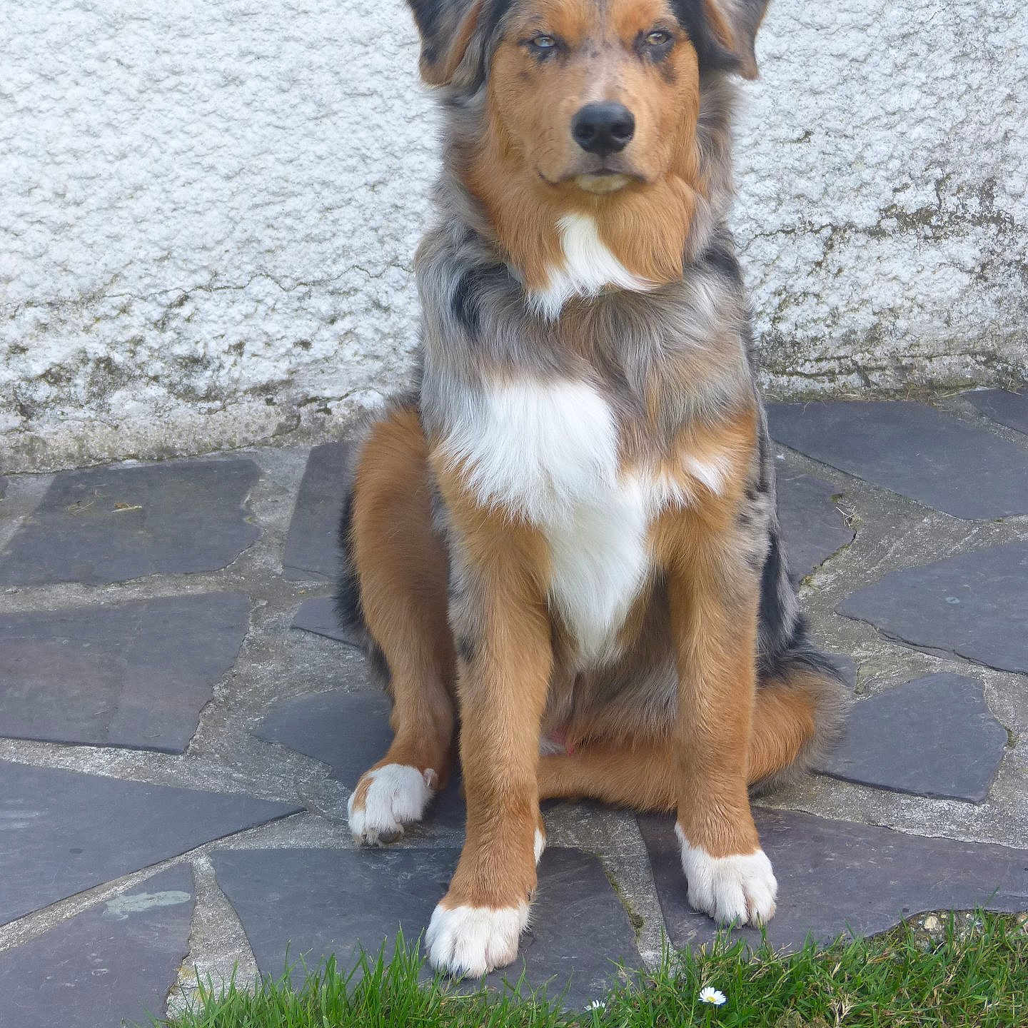Ocho