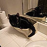 Leah is registered to the contest to win money with this photo: black_cat, cat, bathroom, countertop, mirror, toilet_paper, fabric_container, reflection, tail, tile, sink, domestic_cat, pet, resting, cozy, feline, curled_up, indoor, cute, relaxed