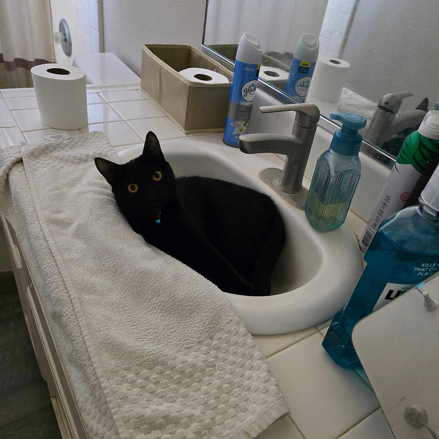 Leah is registered to the contest to win money with this photo: cat, black_cat, sink, bathroom, towel, mirror, soap_dispenser, air_freshener, toilet_paper, countertop, faucet, tile, yellow_eyes, domestic_cat, pet, indoor, relaxed, curious, household, cleaning_products