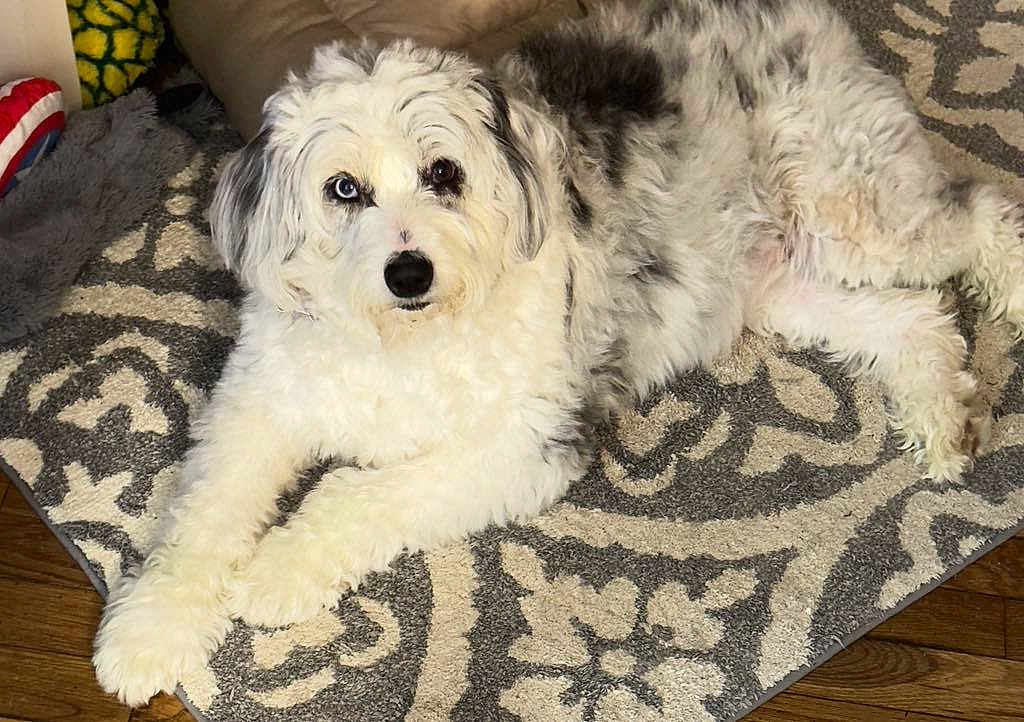 Maggie