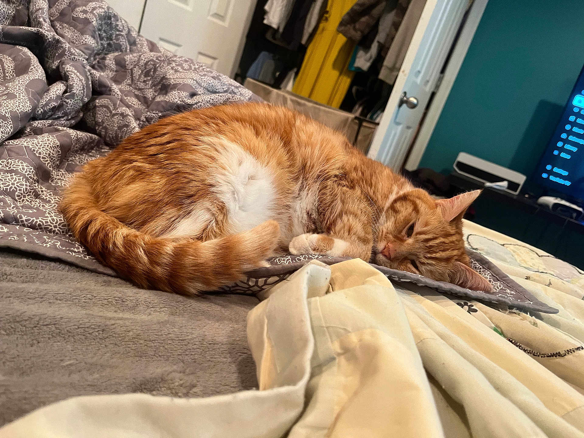 La Tigre