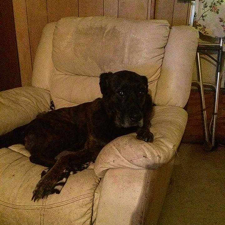 Bubba is registered to the contest to win money with this photo: