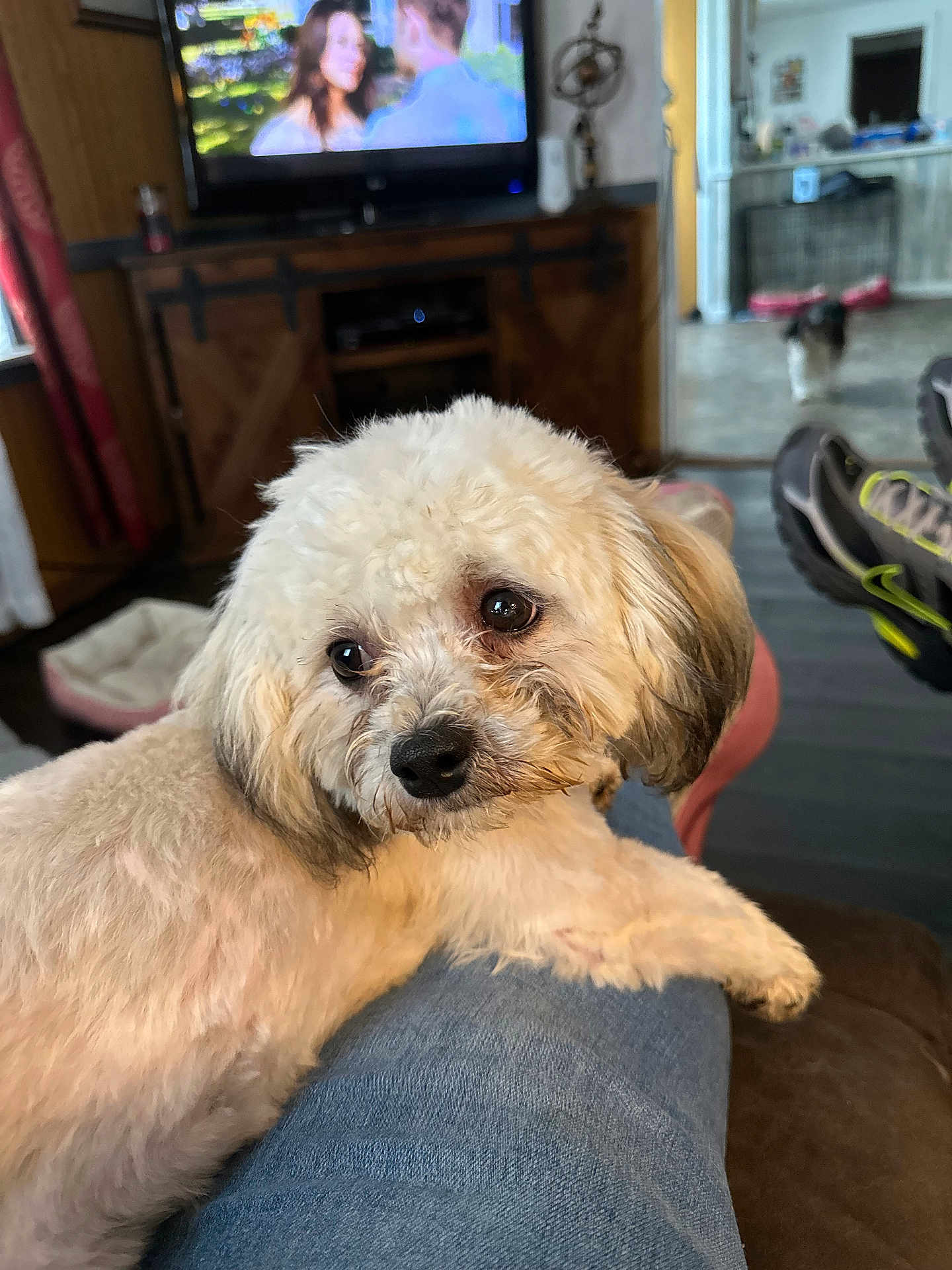 Max