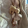 kitten, cat, orange_and_white, bed, blanket, stuffed_toy, teddy_bear, lying_down, cute, pet, cozy, indoors, relaxed, fur, whiskers, soft_light, playful, animal, young, resting