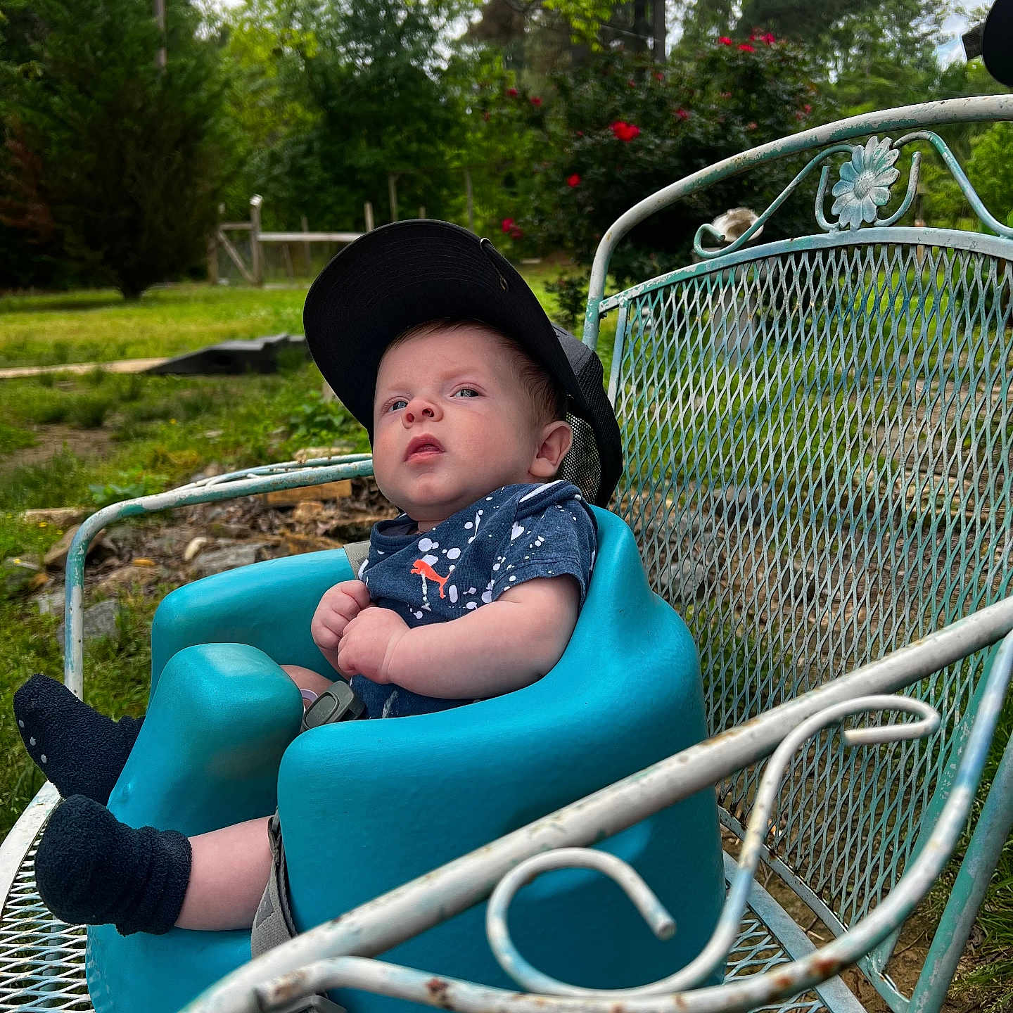 Chandler joined the competition — help win amazing prizes! baby, backyard, cap, clothing, face, furniture, grass, hat, head, nature, outdoors, park, person, photography, plant, portrait, summer, tree, vegetation, yard