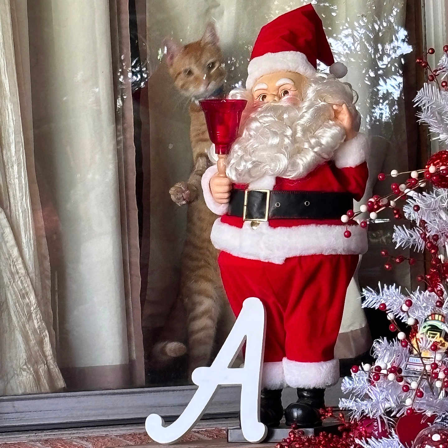 Woodstock joined the competition — help win amazing prizes! brick_wall, cat, celebration, christmas_tree, curtains, decorations, festive, holiday_decor, indoor, letter_a, orange_tabby, ornaments, red_bell, red_berries, reflection, santa_claus_figurine, seasonal, white_tree, window, wooden_crate