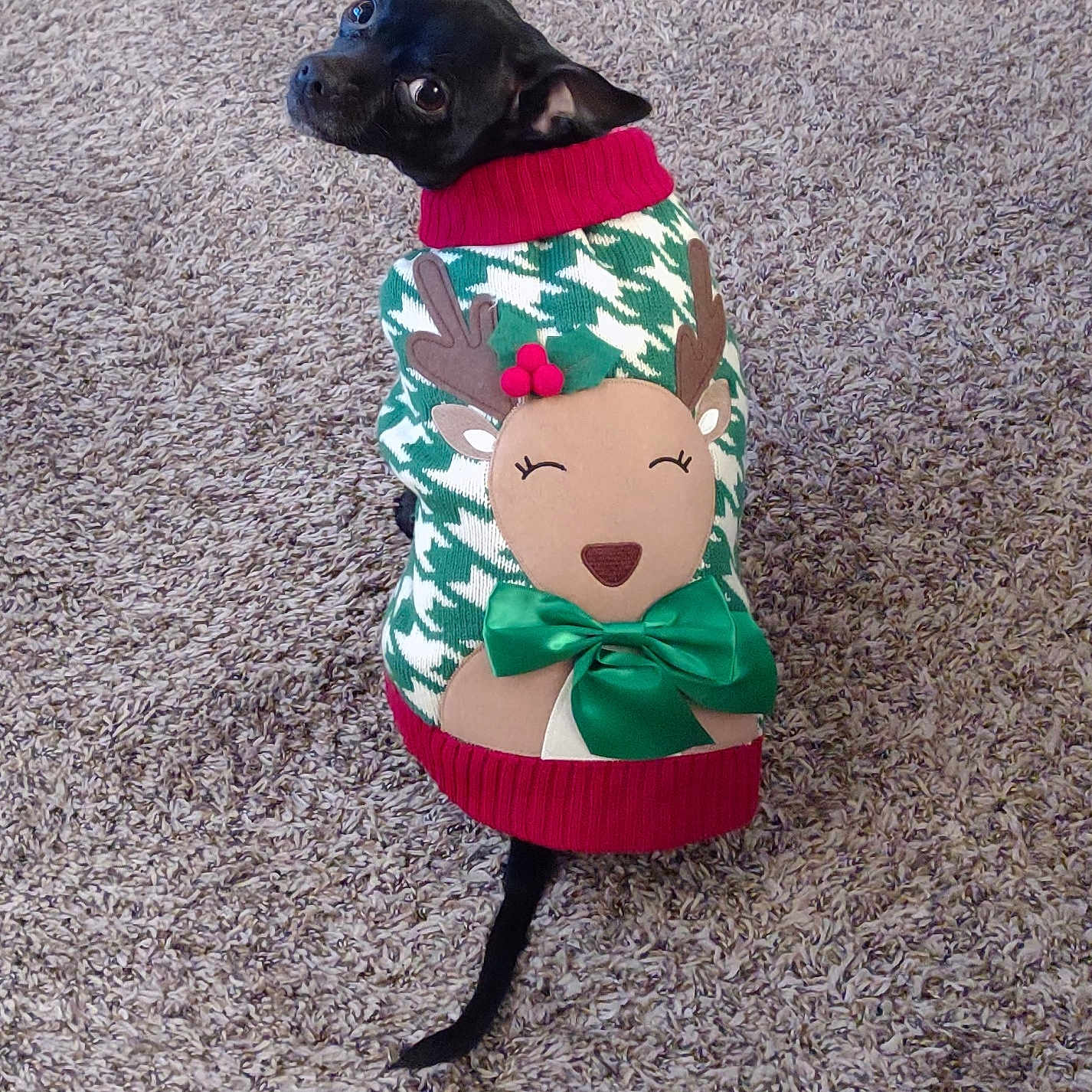 Prancer