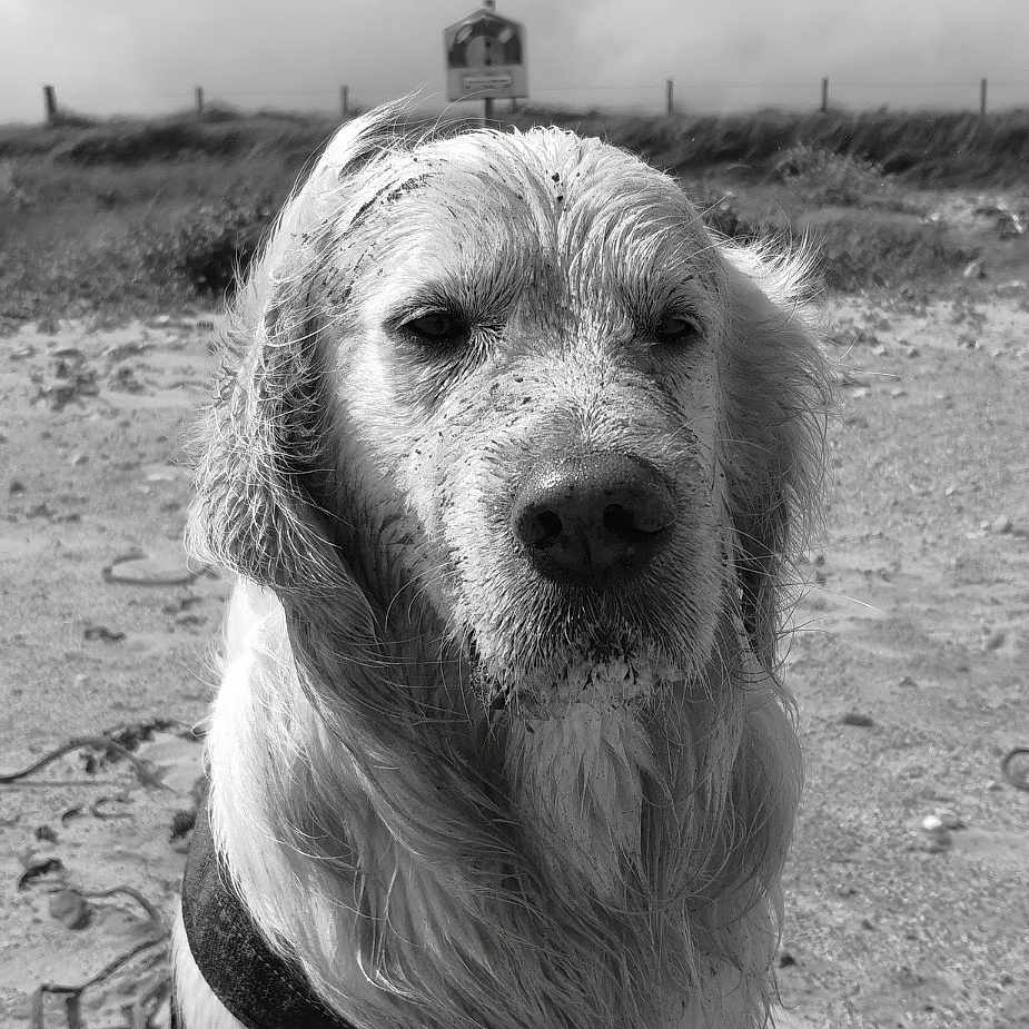 Charlie