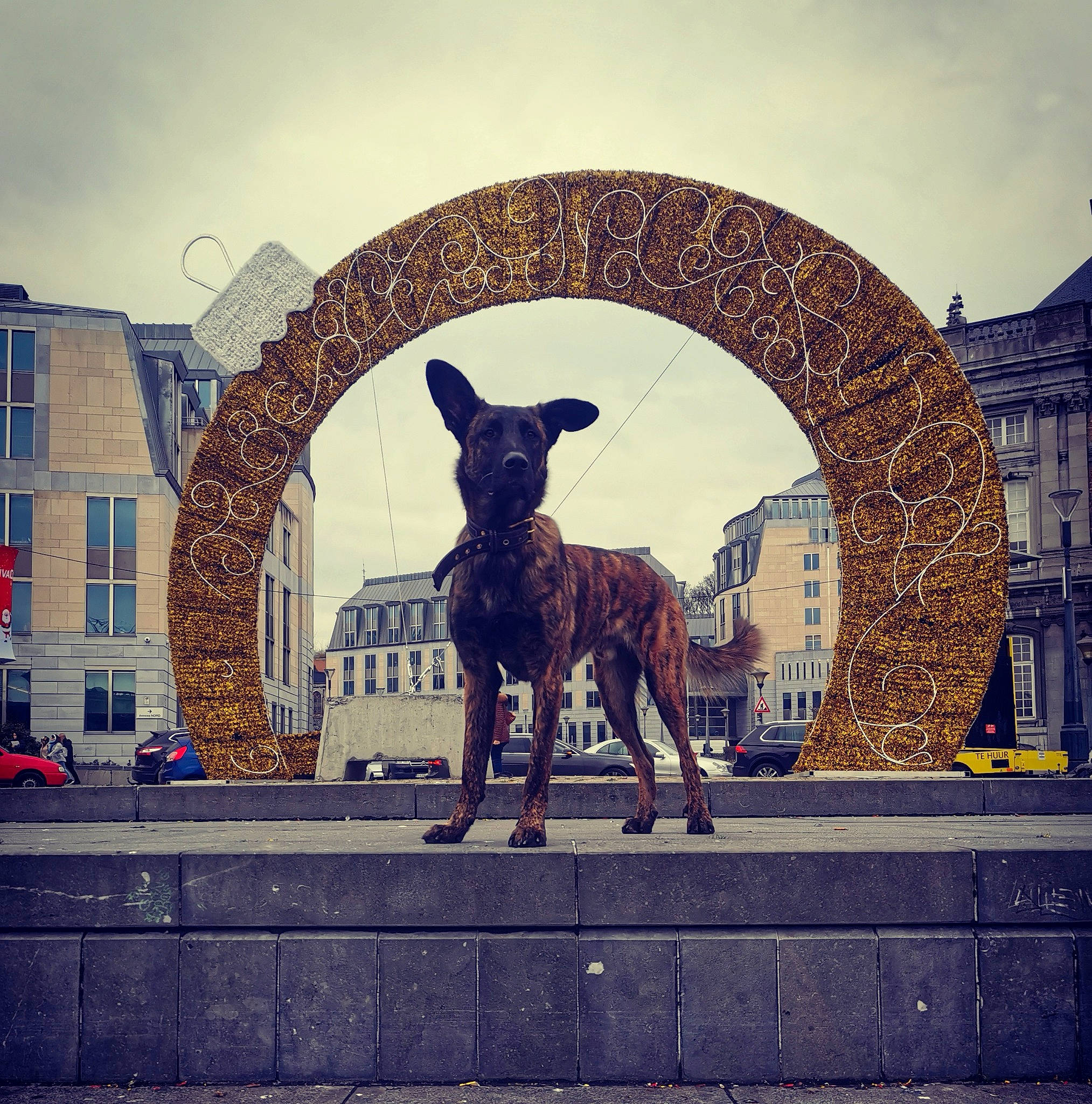 Iro participe au concours pour gagner de l'argent avec cette photo : art, building, canidae, carnivore, city, cloud, companion_dog, dog, dog_breed, fawn, metal, monument, sculpture, sky, snout, sporting_group, statue, sunset, tints_and_shades, window