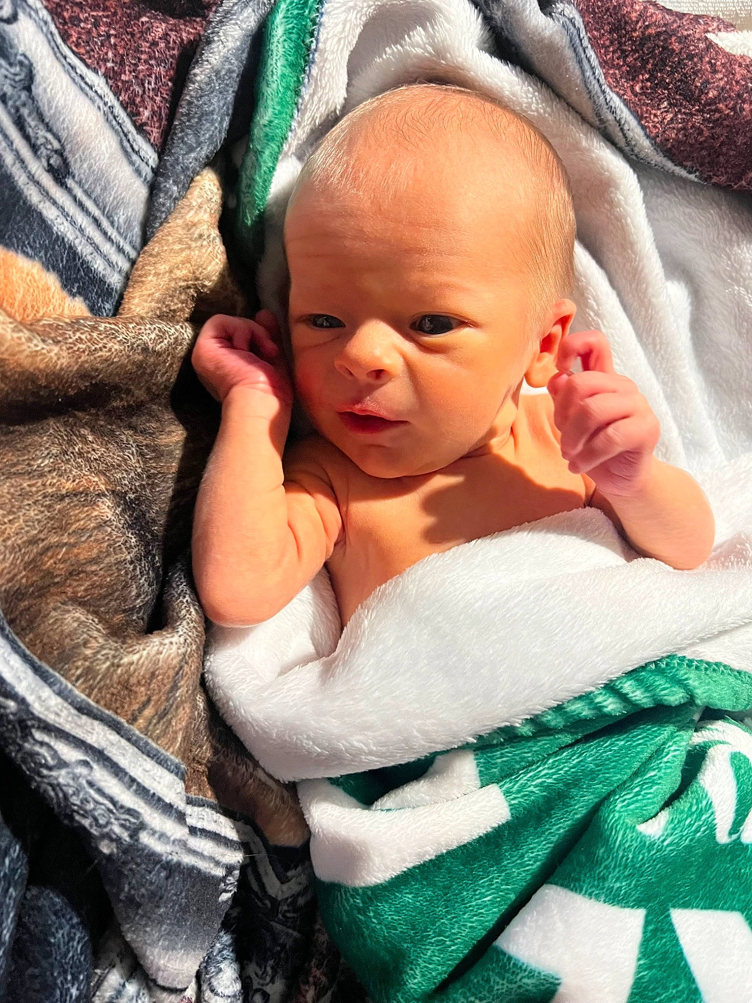 Karl is registered to the contest to win money with this photo: baby, baby_products, baby_safety, baby_sleeping, baby_toddler_clothing, cheek, chest, child, comfort, eye, eyelash, finger, fur, green, hand, linens, person, sitting, skin, thumb