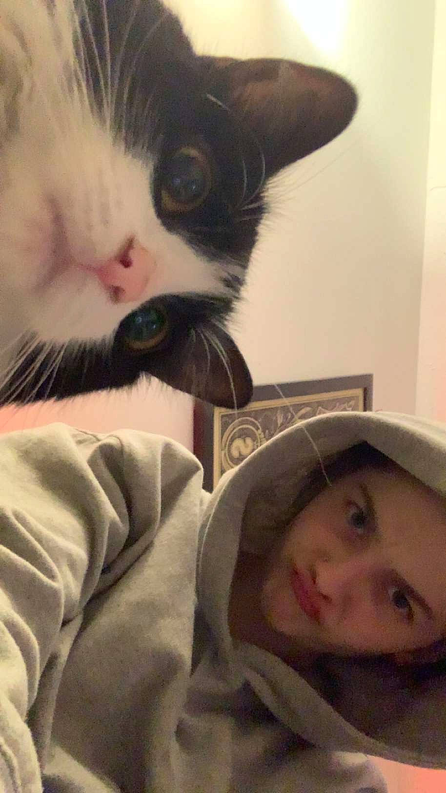 Fidji joined the competition — help win amazing prizes! carnivore, cat, cheek, comfort, ear, eyebrow, eyelash, facial_expression, felidae, gesture, happy, human, iris, mammal, mouth, nose, organ, skin, small_to_medium_sized_cats, whiskers