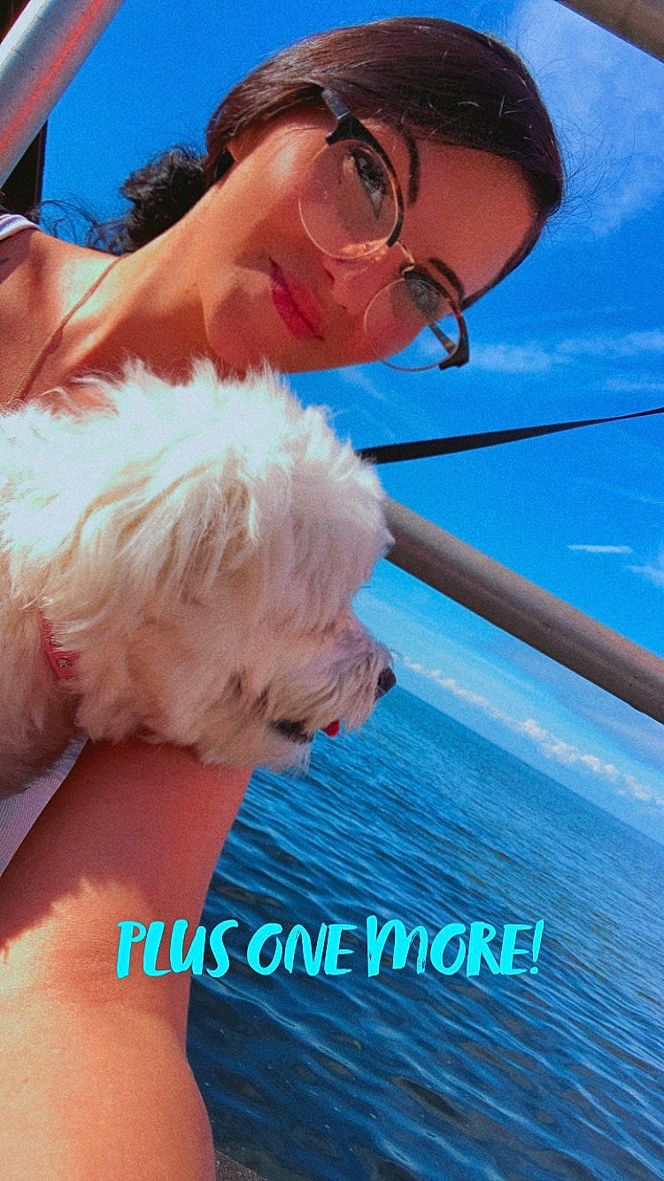 Maggie is registered to the contest to win money with this photo: azure, blue, cloud, companion_dog, dog, electric_blue, event, eyewear, fashion_accessory, fun, gesture, happy, leisure, ocean, recreation, sitting, sky, sunglasses, toy_dog, water