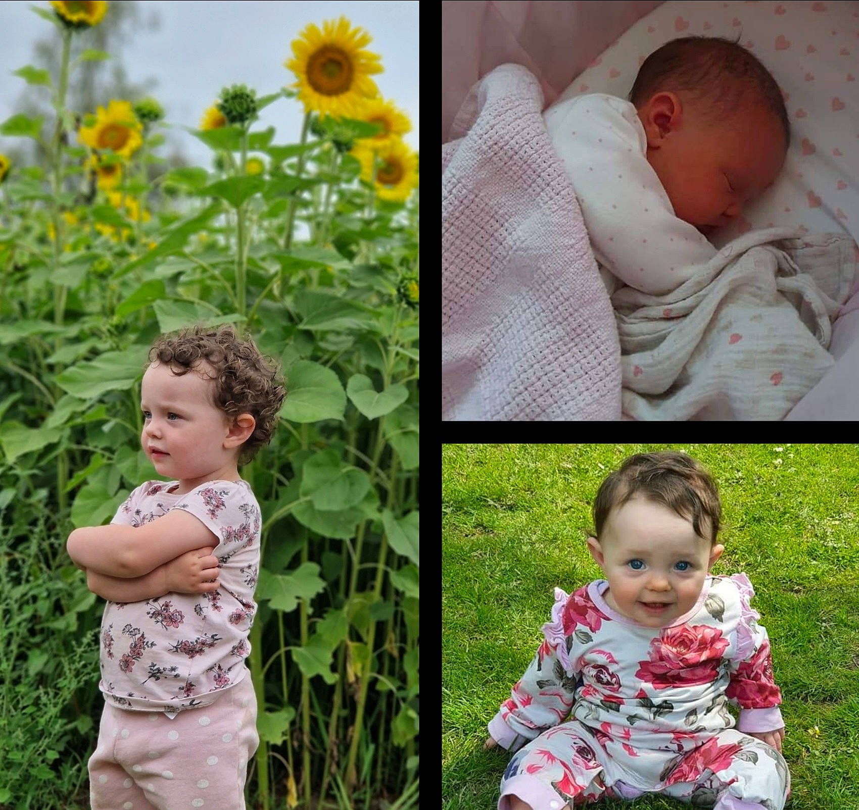 Harmony joined the competition — help win amazing prizes! baby, baby_toddler_clothing, beauty, child, face, facial_expression, flower, grass, green, happy, hat, pattern, people_in_nature, person, petal, photograph, plant, sleeve, terrestrial_plant, toddler