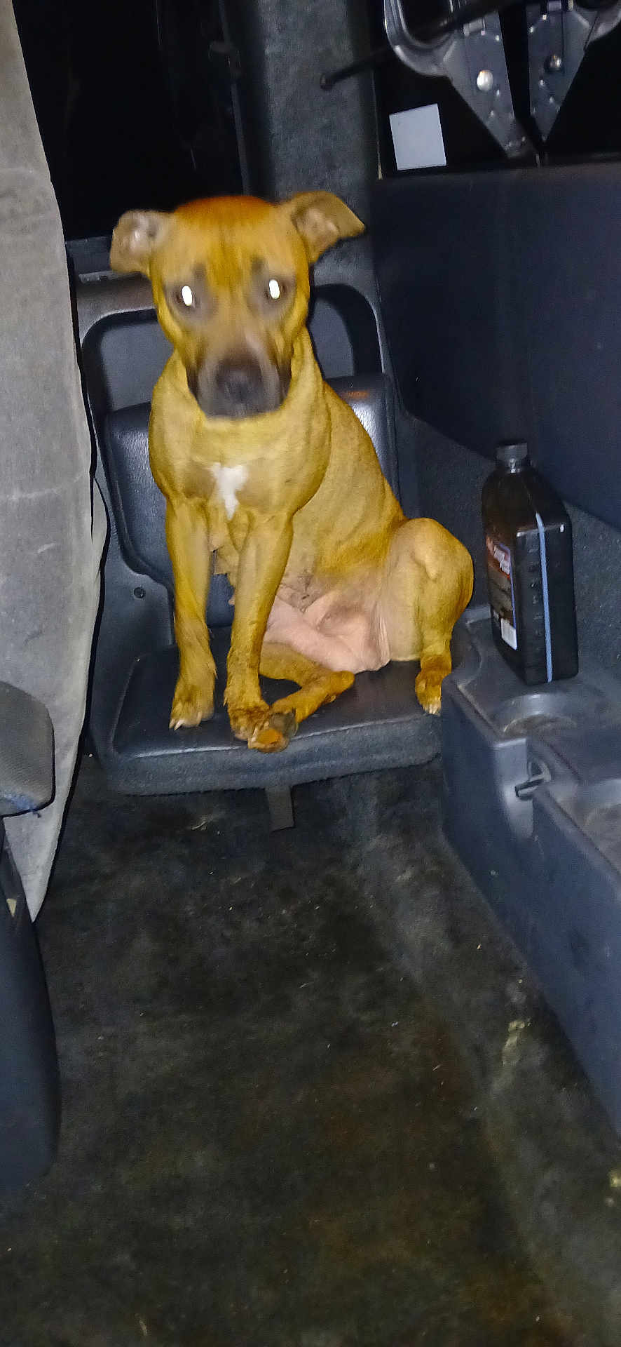 Roxie
