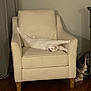 animal, armchair, beige, cat, comfortable, cozy, curtain, cushion, decor, floor, furniture, home, indoor, legs, pet, relaxed, resting, stretching, white_cat, wooden_floor